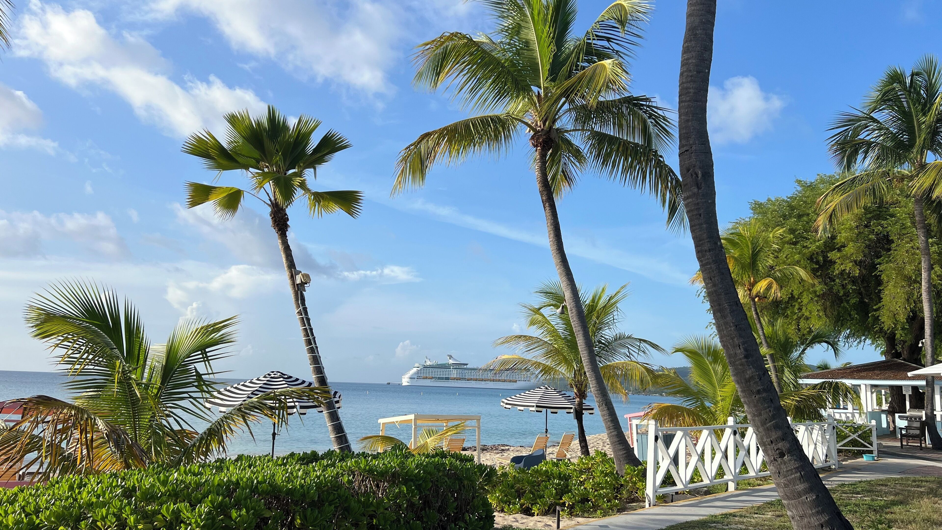 A beach scene with palm trees, a cruise ship in the background, and beach chairs and umbrellas.