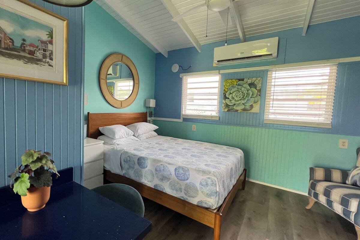 A bedroom with a bed, a desk, a chair, a potted plant, a mirror, and a wall-mounted air conditioner.