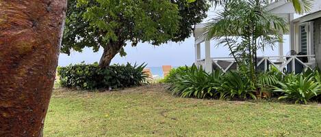 A grassy area with a tree, a white building with a balcony, and a view of the sea.