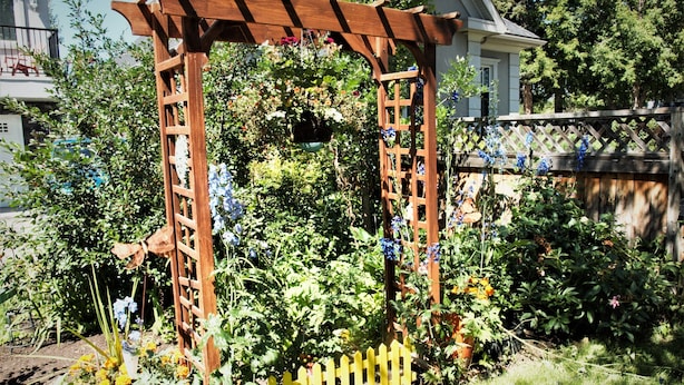 A wooden arbor with climbing plants and flowers, surrounded by a yellow picket fence and a garden bed. - Along River Ridge (Calgary)