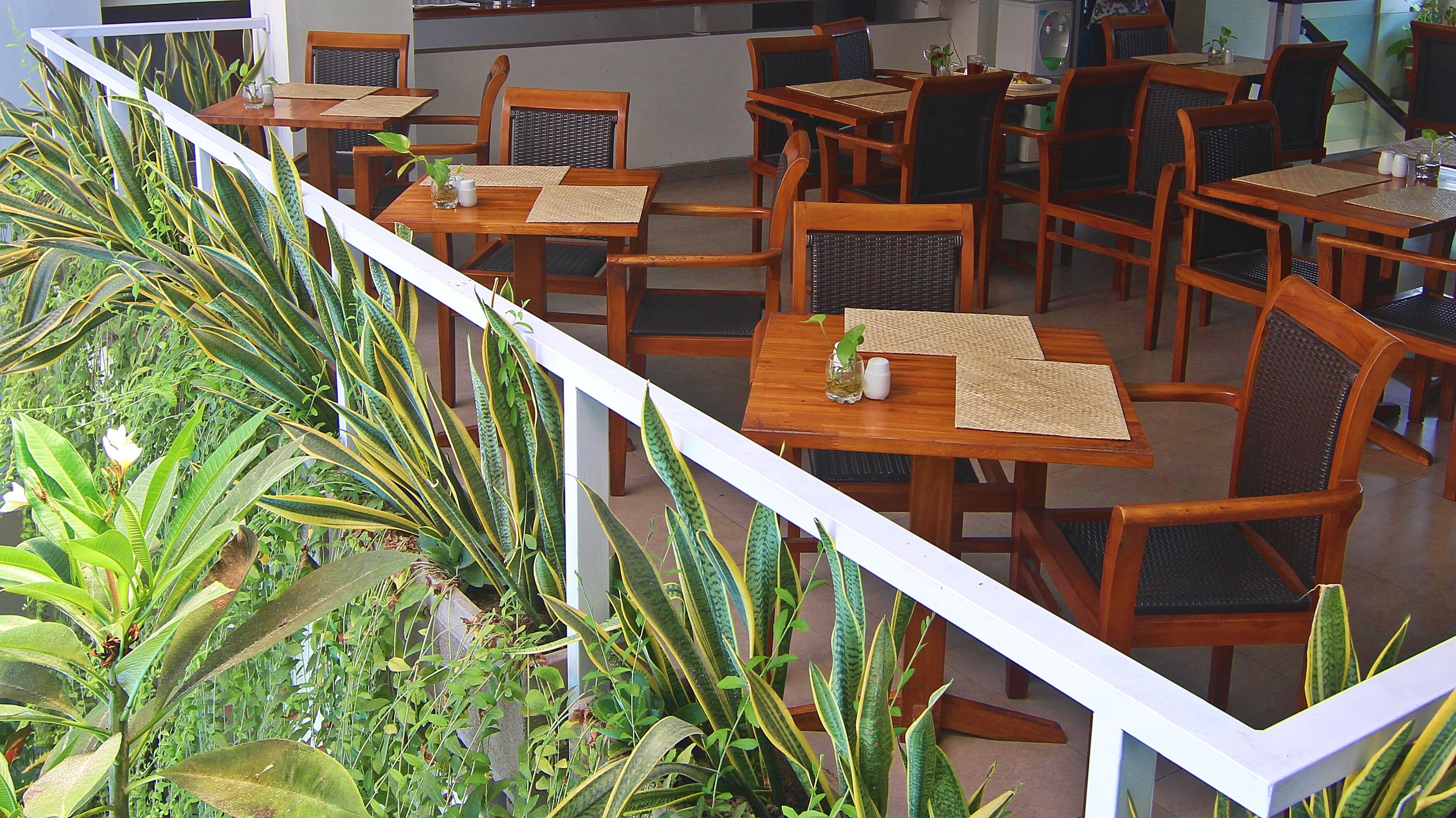 Un restaurante con mesas y sillas de madera, rodeado de plantas en macetas.