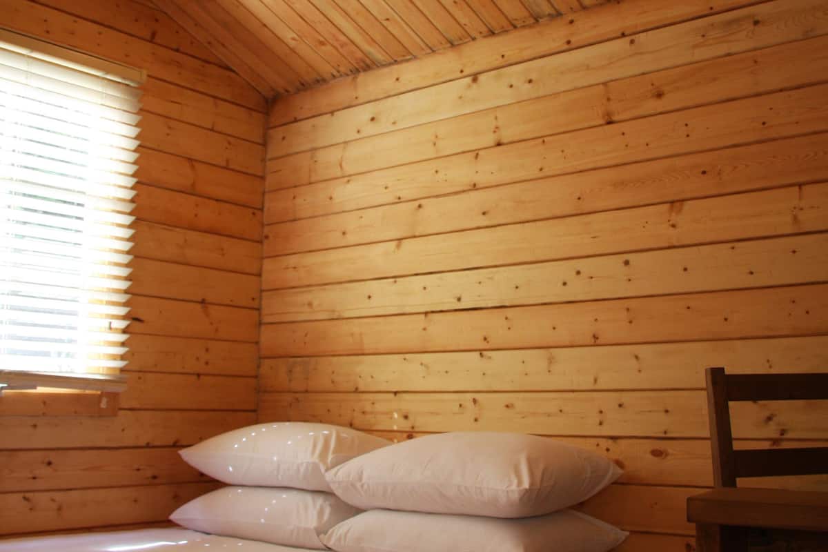 medium cabin | minibar