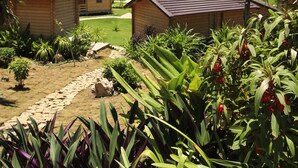 Un complejo turístico en una ladera con cabañas de madera, un sendero de piedra y abundante vegetación.