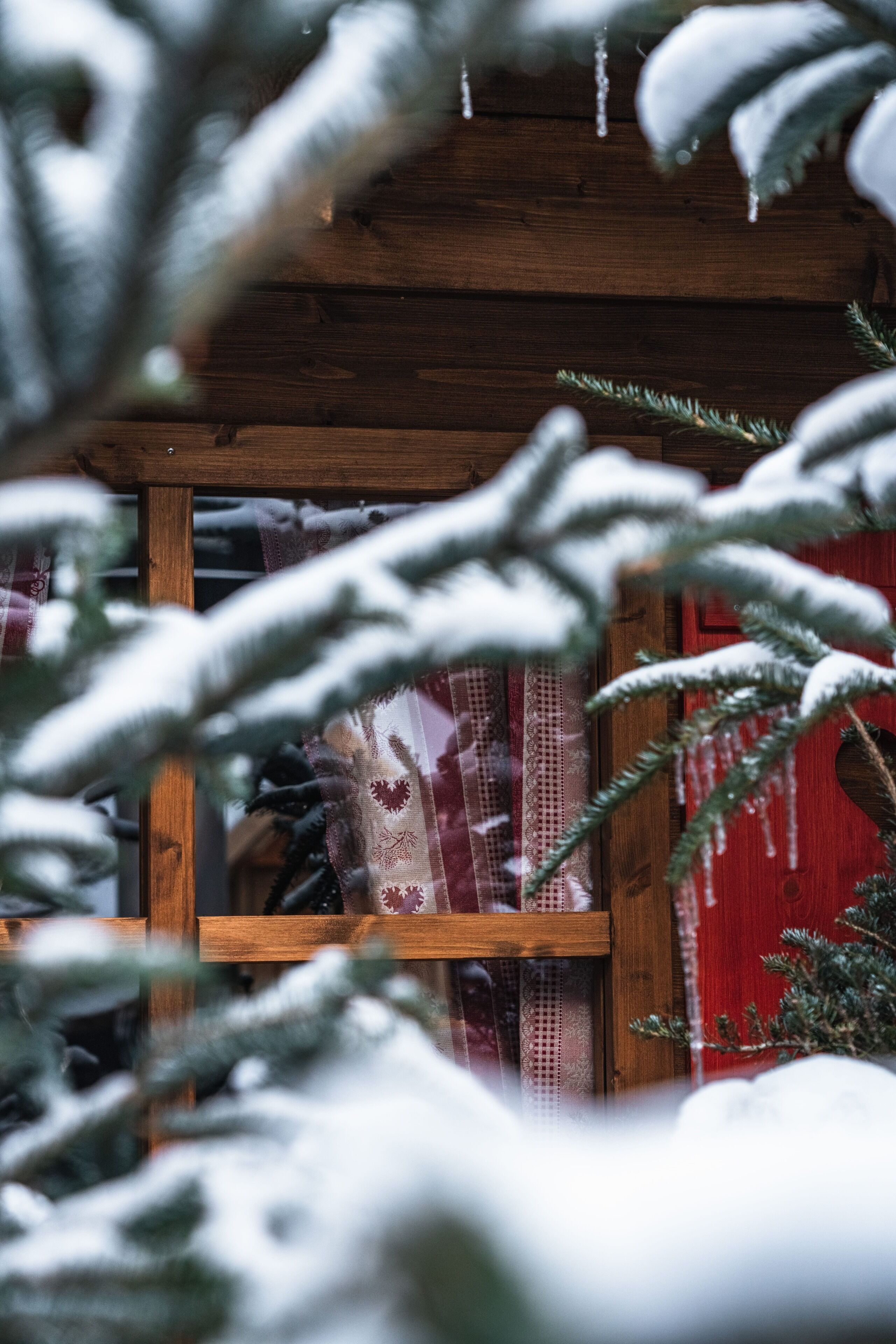 A wooden structure with a window, partially obscured by snow-covered branches.