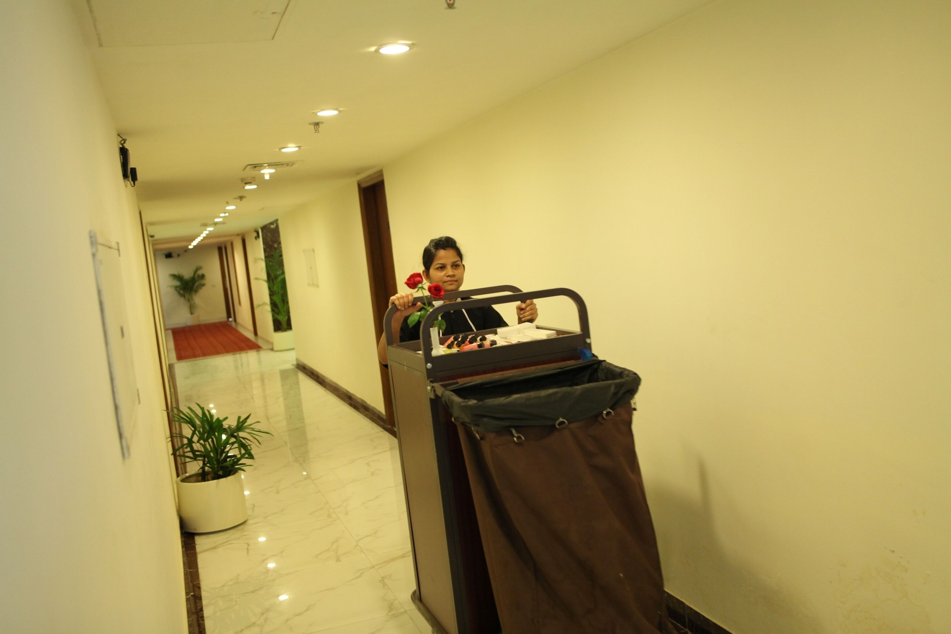 Foto - Hotel Ramhan Palace