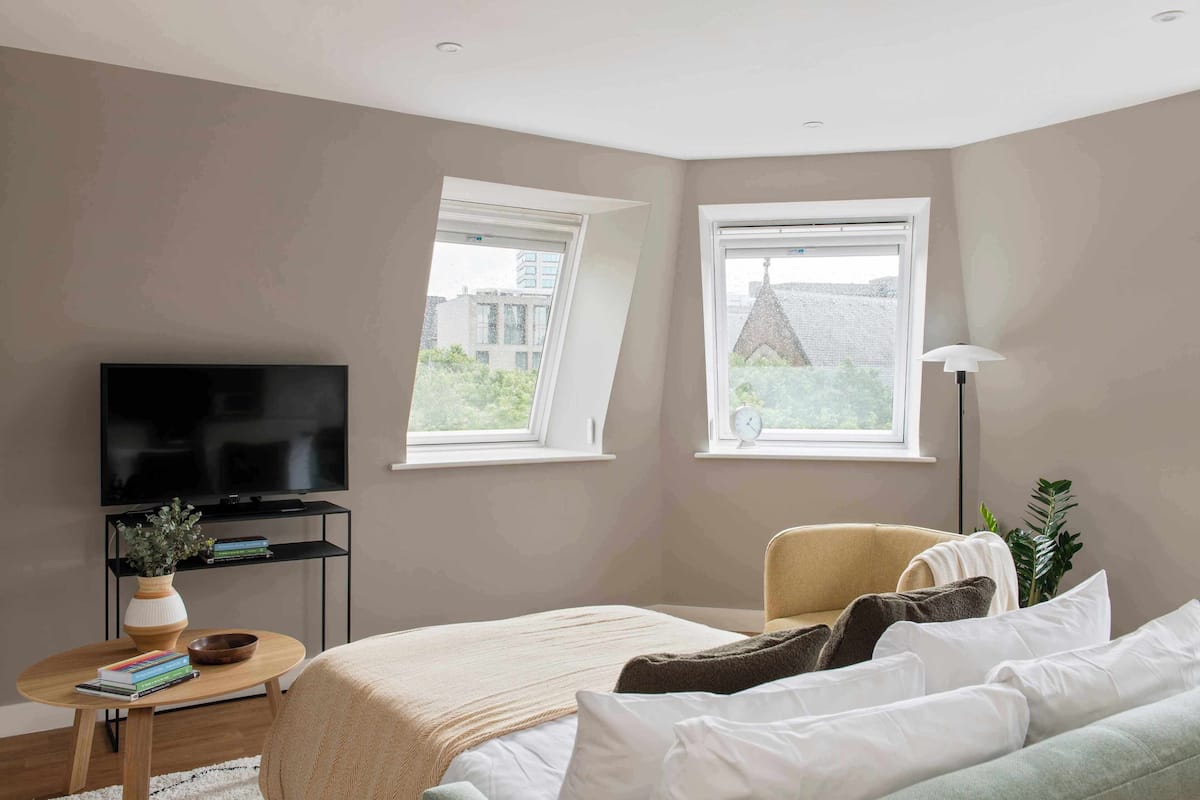 One Bedroom Apartment with Sofa Bed