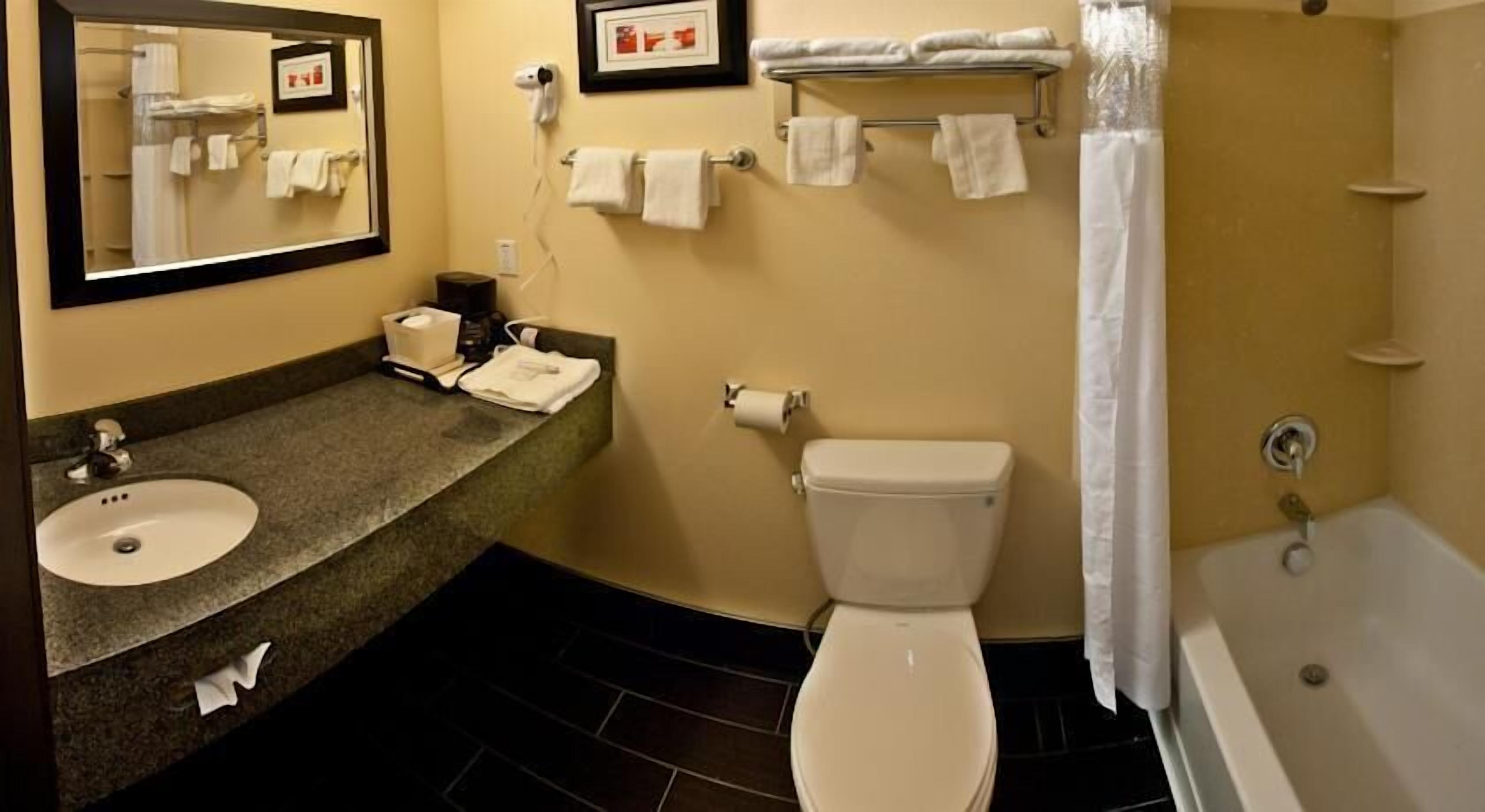 combined shower/bathtub, free toiletries, hair dryer, towels