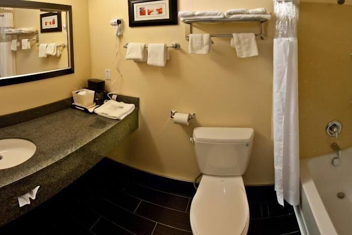 combined shower/bathtub, free toiletries, hair dryer, towels