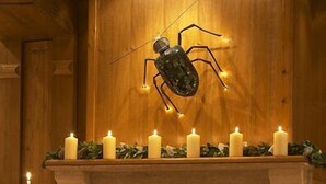 Une pièce chaleureuse avec une cheminée, des bougies et une sculpture décorative représentant une fourmi.