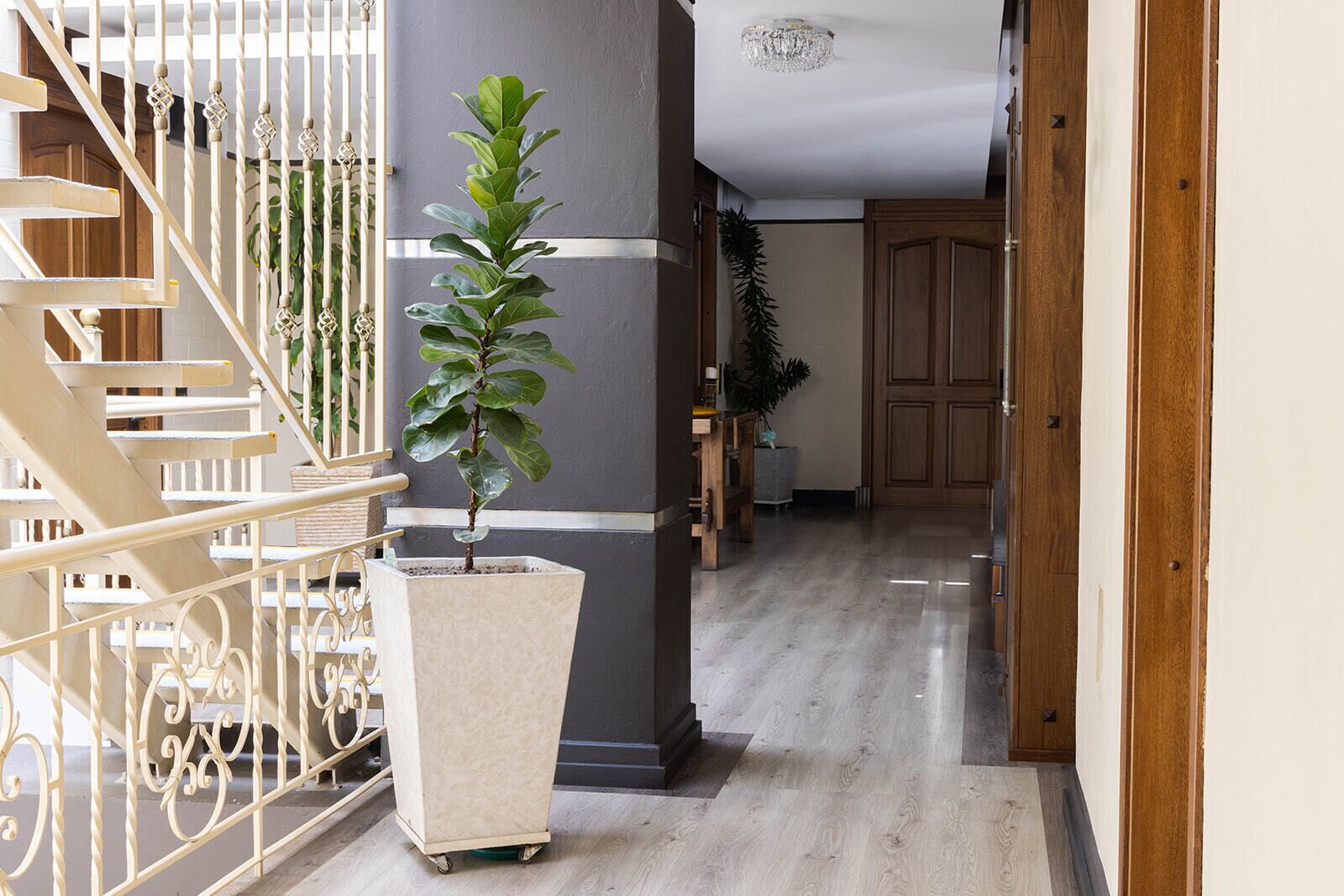 Photo - Hotel Du Parc