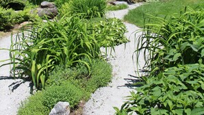 A pathway through a lush garden with various plants and trees. - The Nutmeg Inn (Meredith)
