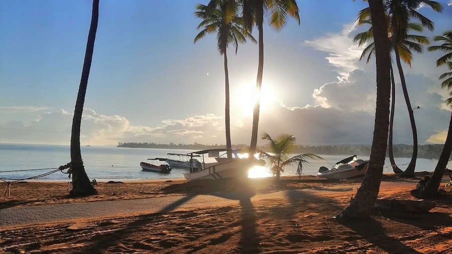 House Jardin Del Caribe