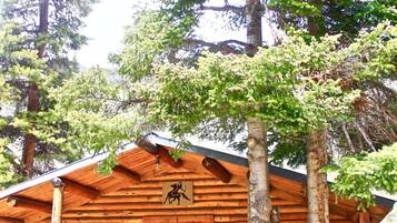 Cabin, 2 phòng ngủ (Evergreen) | Hiên