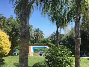 Uma área de piscina rodeada por palmeiras e vegetação exuberante.