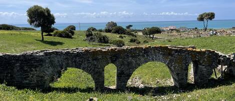 A stone bridge with three arches over a grassy field with wildflowers, leading to a coastal area with trees and a clear blue sky.