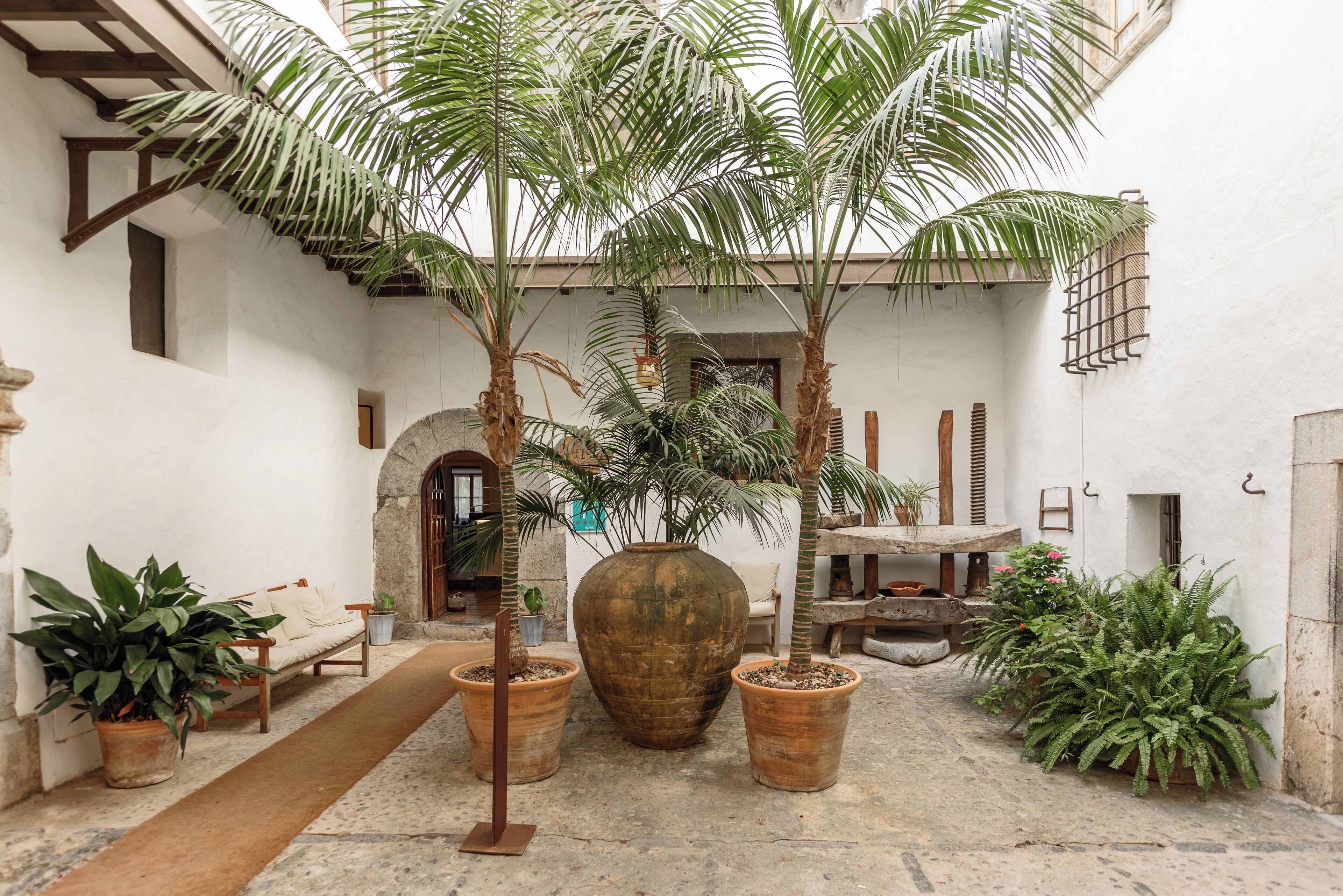 A courtyard with a wooden bench, a large planter, and potted plants.