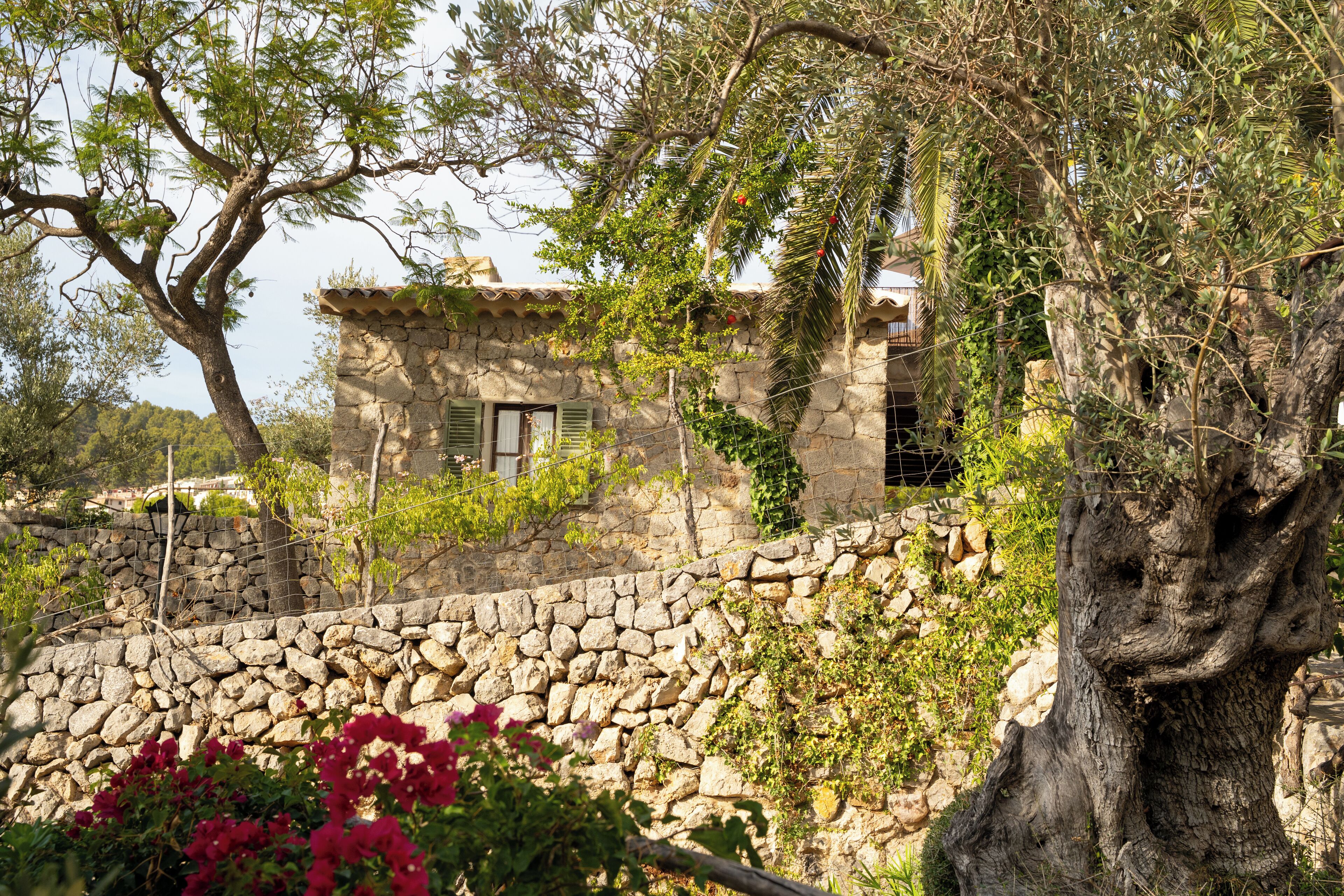 Foto - Hotel Es Port