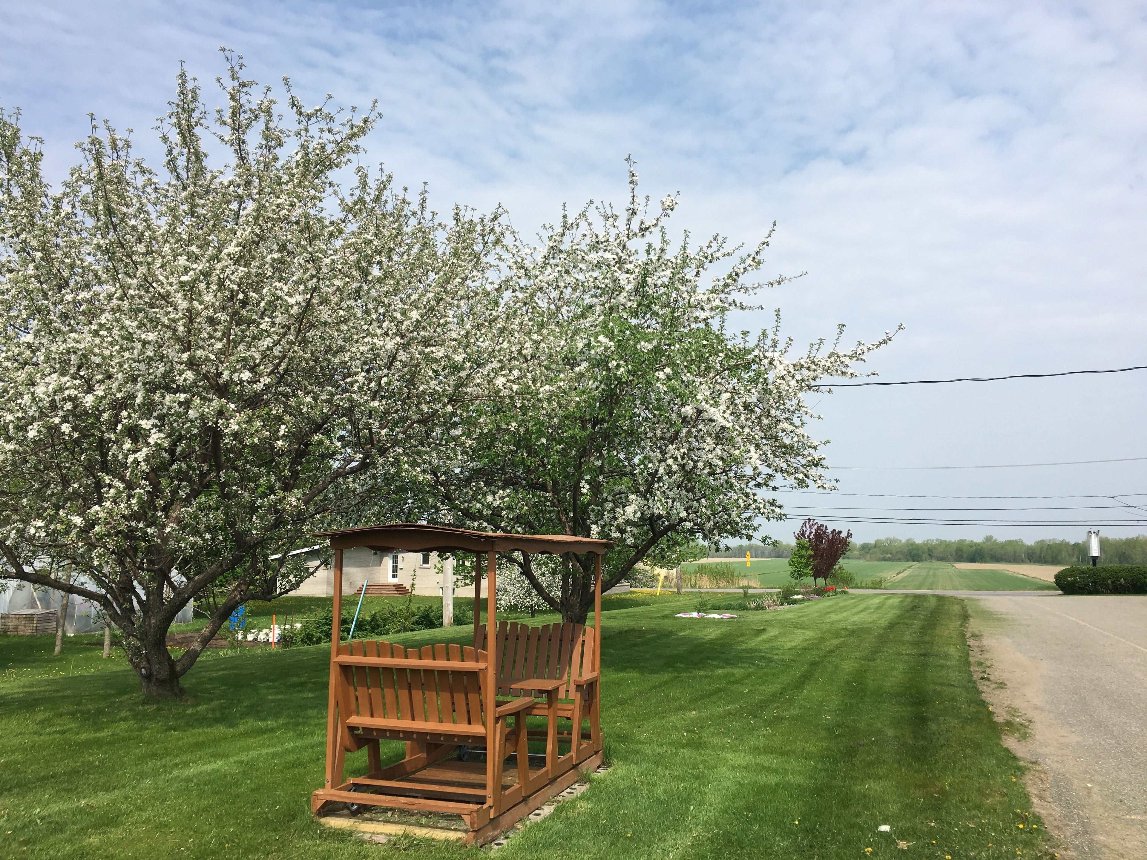 Foto - Motel Becancour