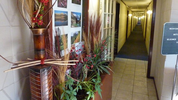 A hallway with a reception desk featuring a bulletin board with photos, a potted plant with red flowers, and a sign with room names.