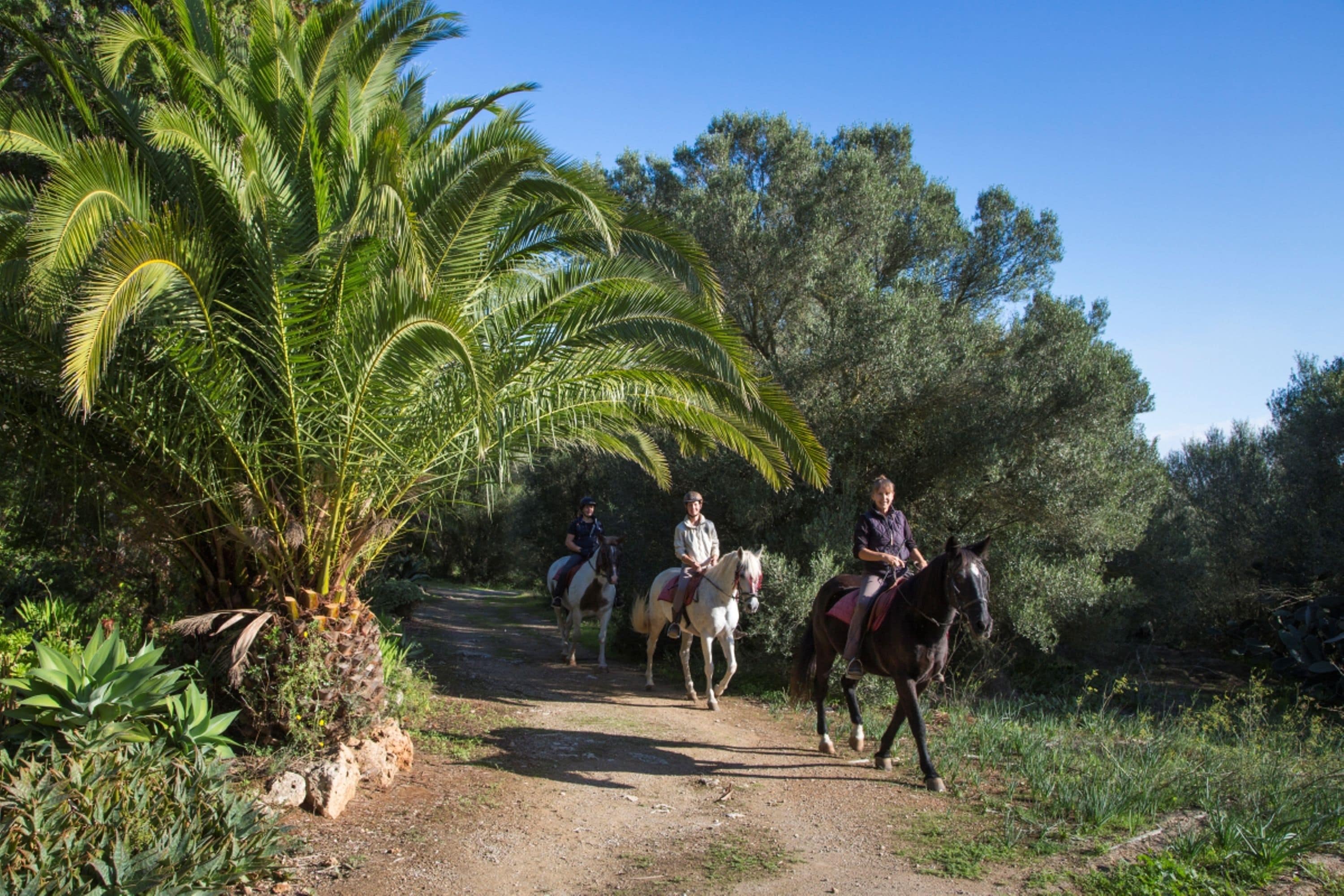 Photo - Finca Hotel Rural Predio Son Serra