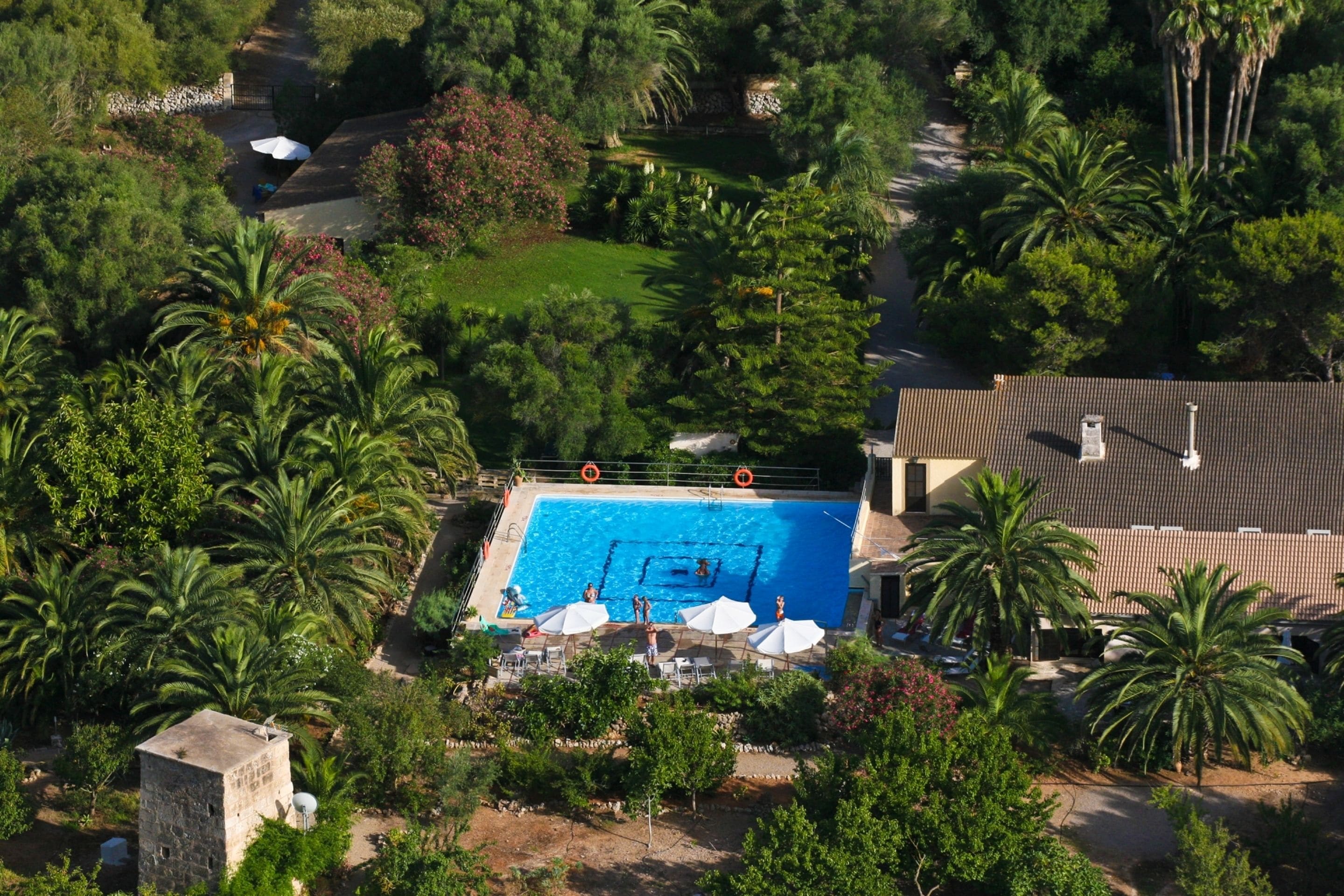 Vista aèria d'un complex turístic amb una piscina envoltada de palmeres i vegetació exuberant.