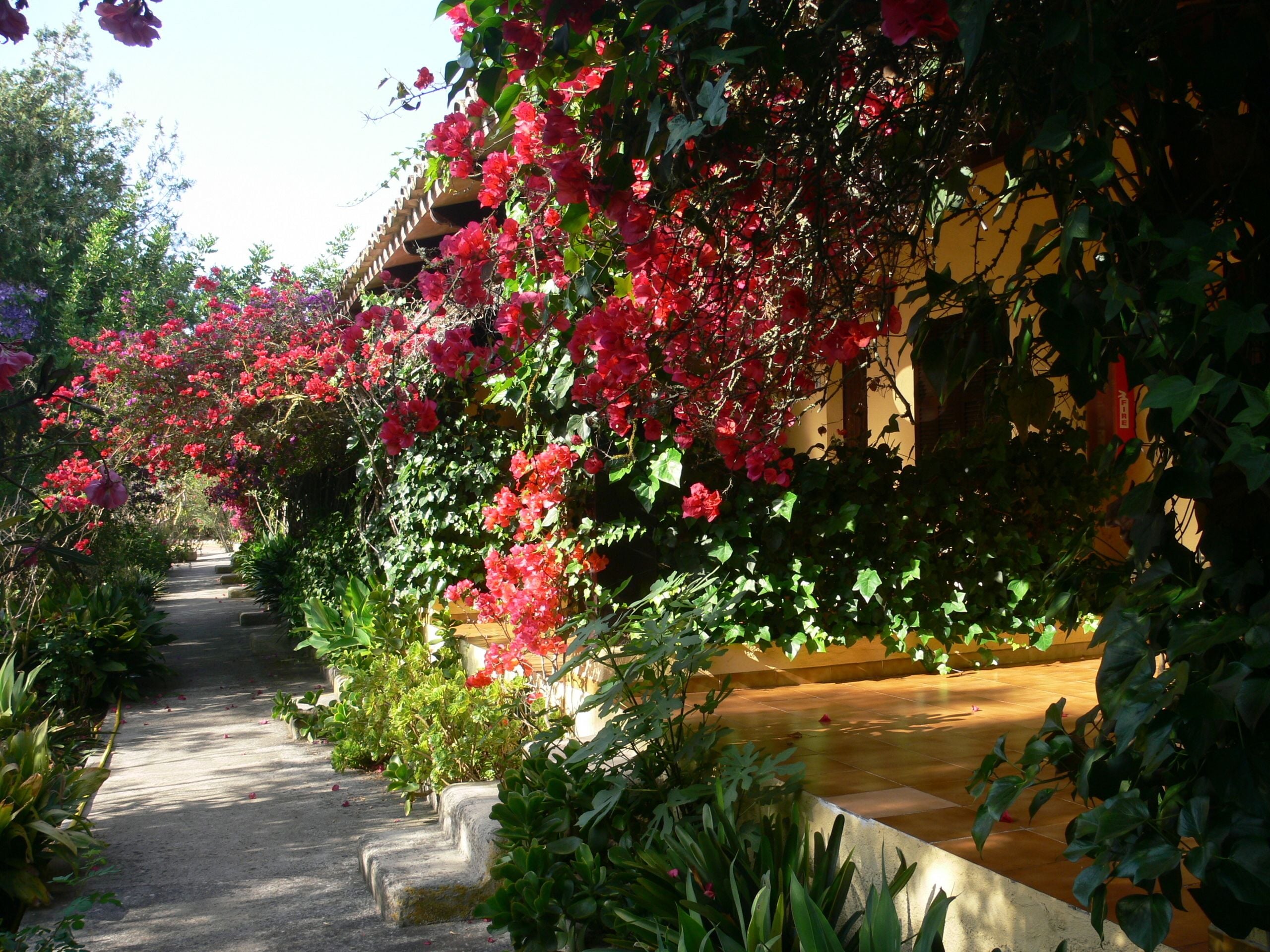 Photo - Finca Hotel Rural Predio Son Serra