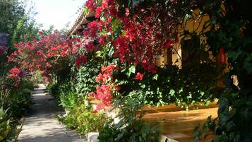 Un sendero en un jardín con flores rojas y follaje verde.