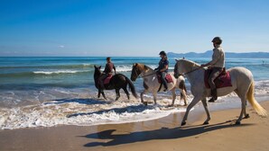 Una playa con caballos y jinetes.