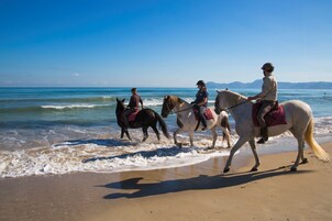 Passeios a cavalo
