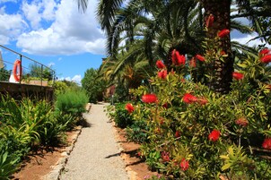 Jardín