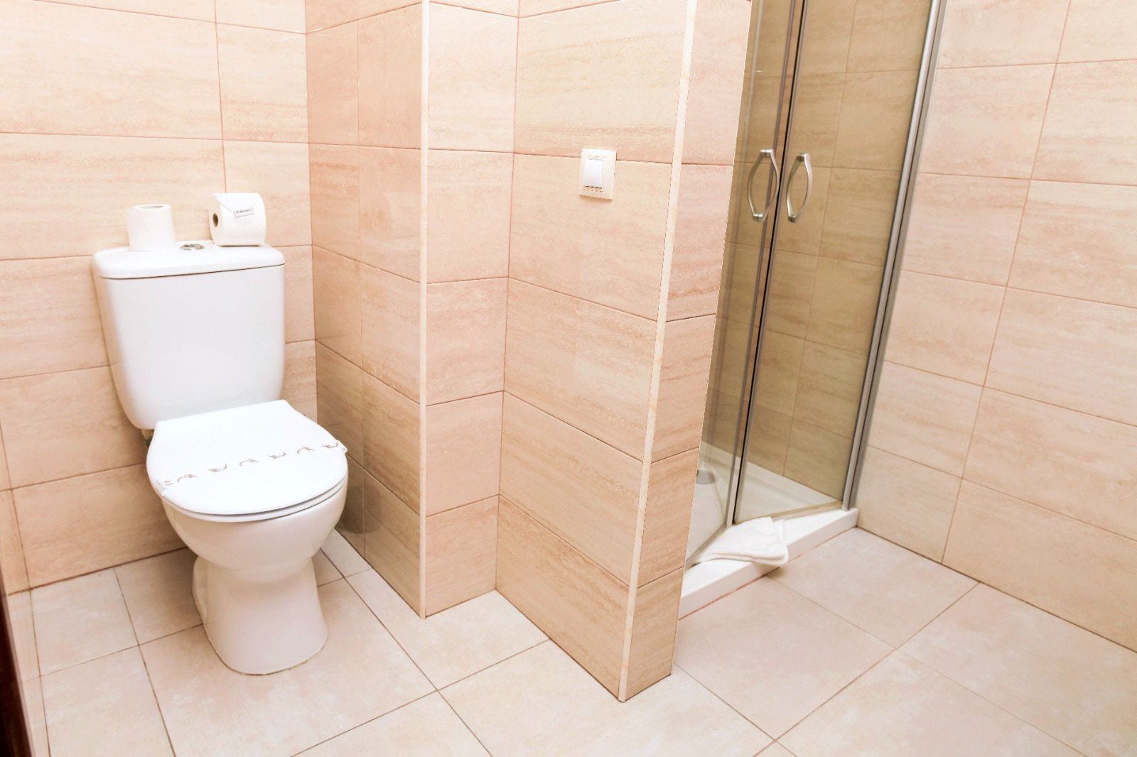 A bathroom with a toilet, a shower, and a glass door.
