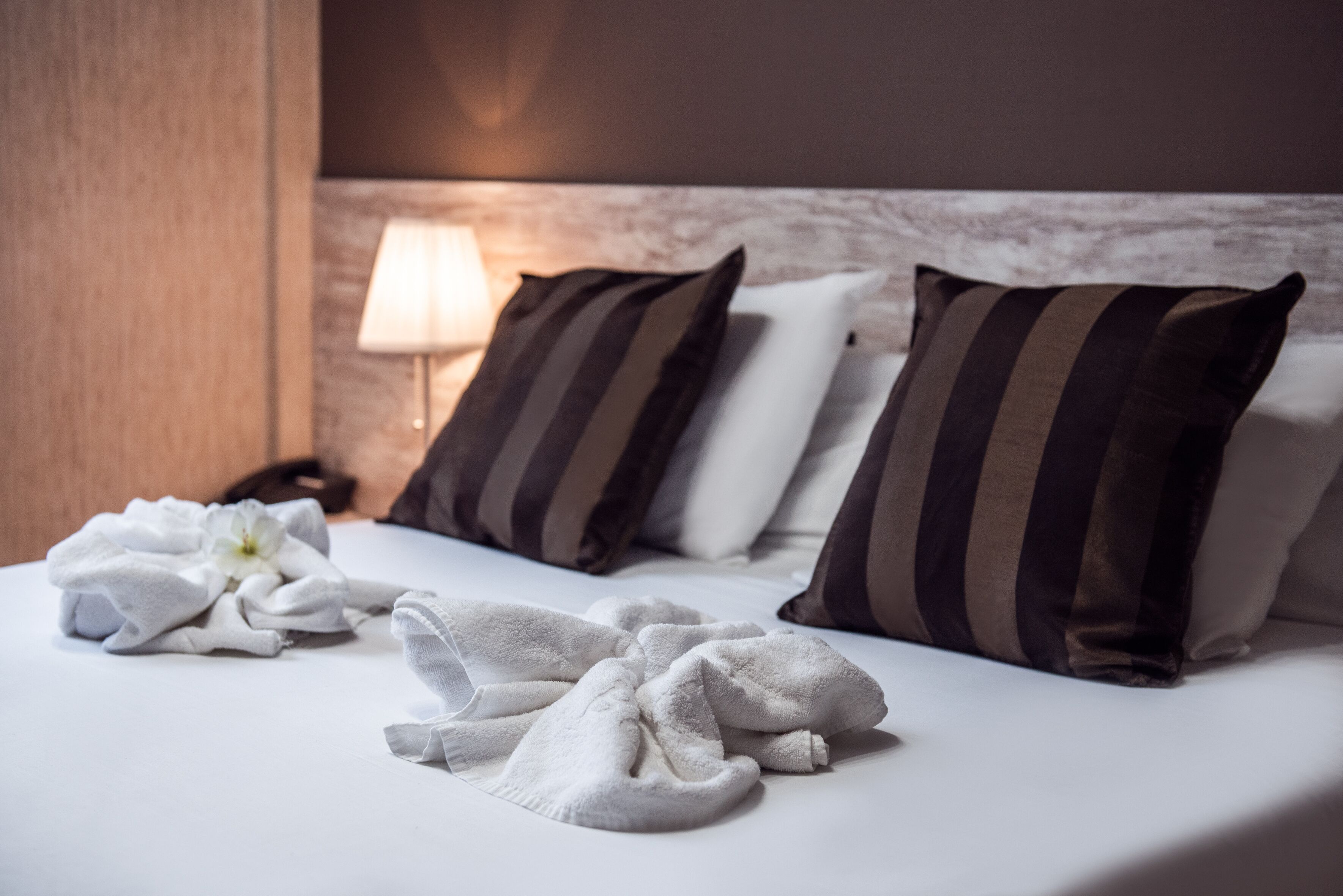Foto - Hotel Ancora