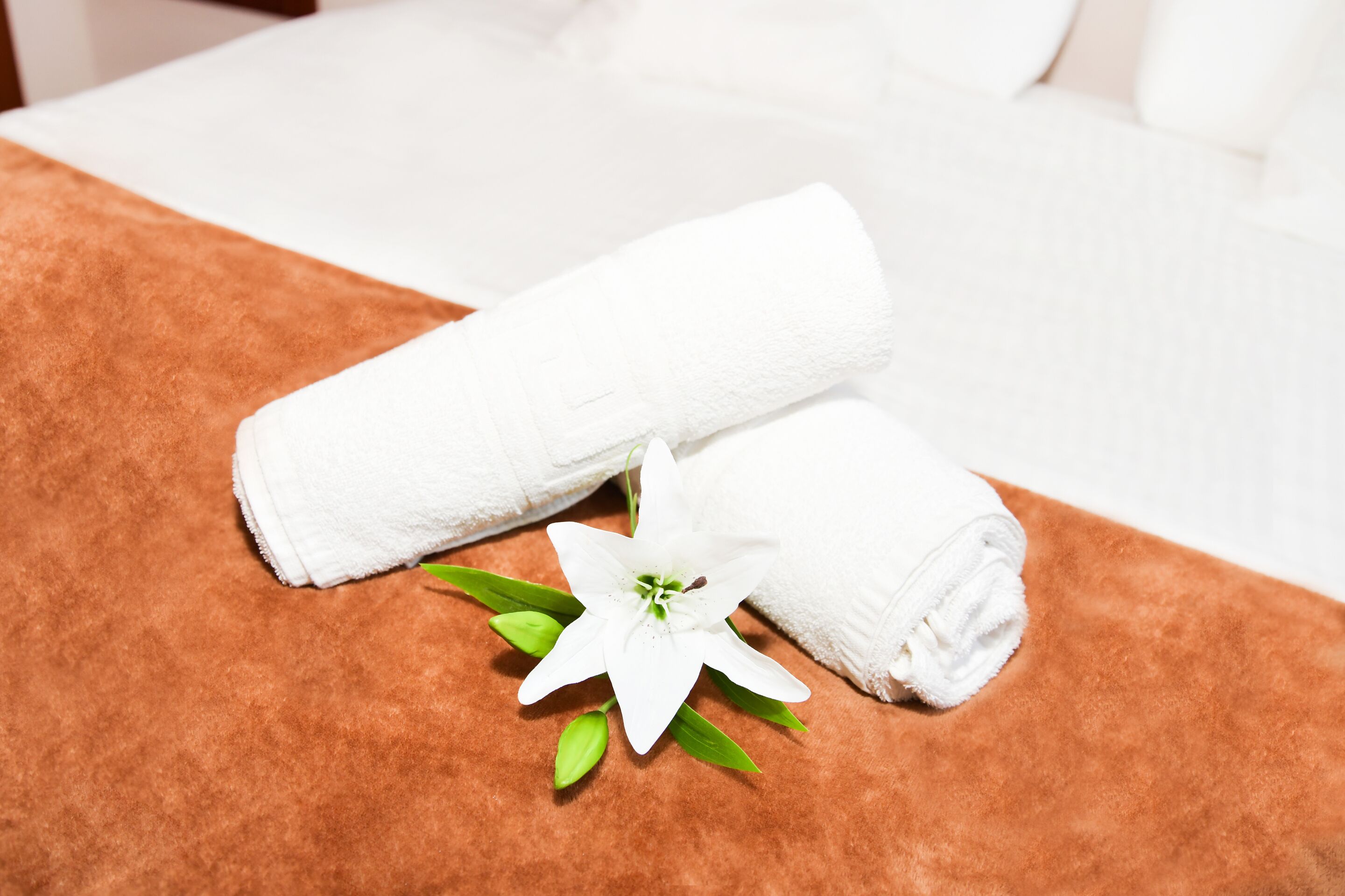 Foto - Hotel Ancora