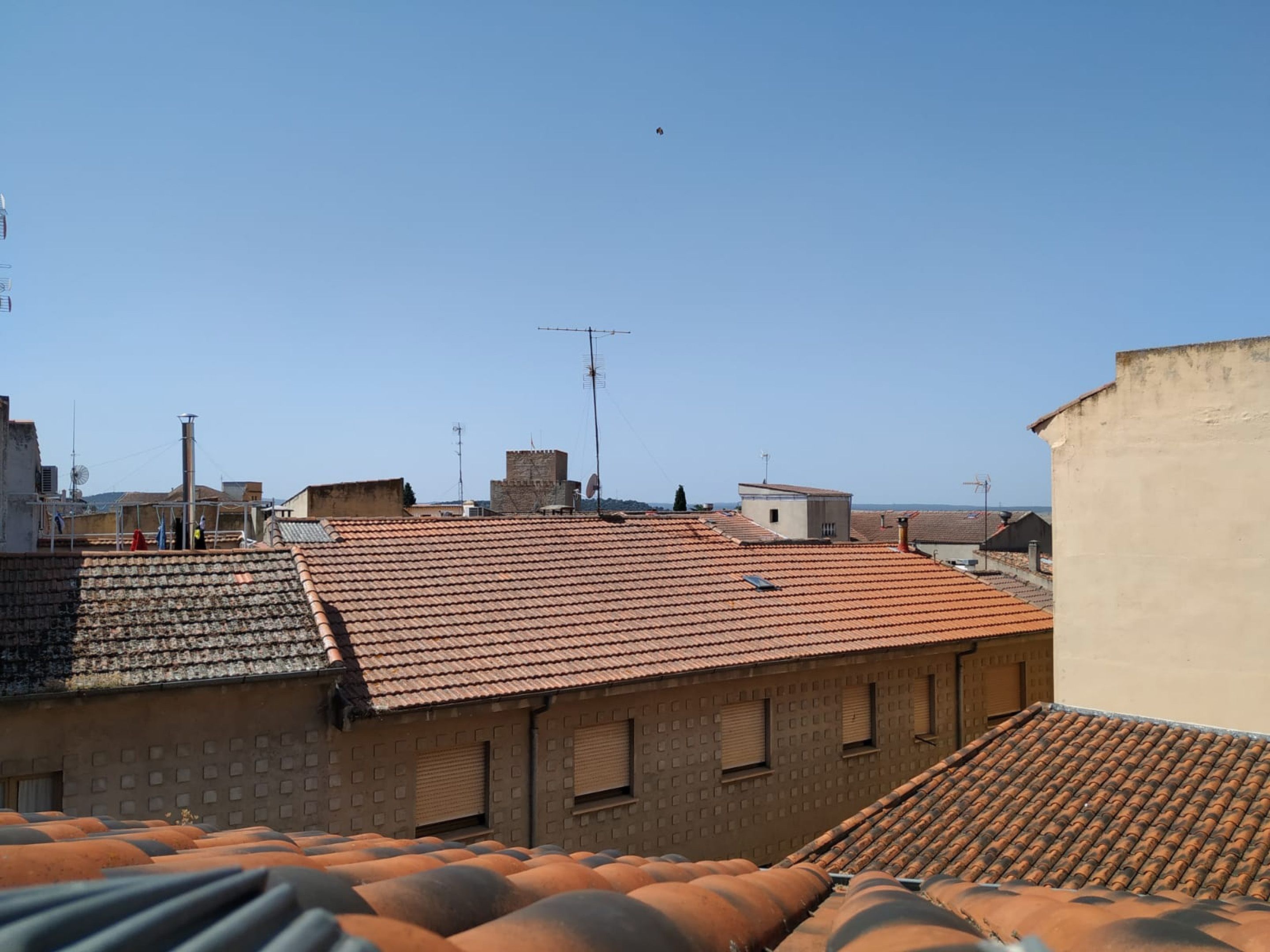 economy room | view from room