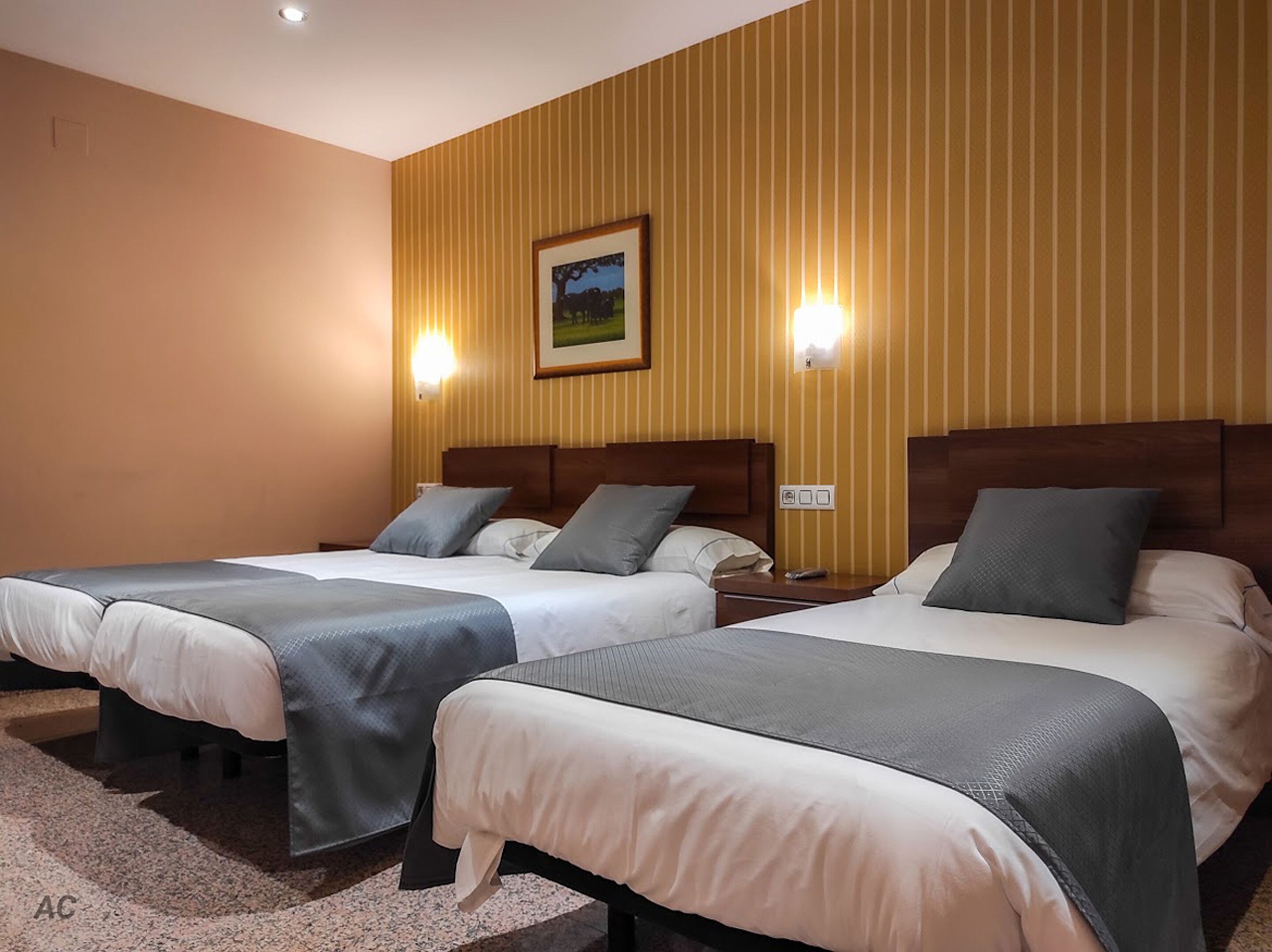 standard triple room | 2 bedrooms, blackout curtains, iron/ironing board, free wifi