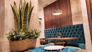 Un comedor con una planta grande, una mesa de madera y un banco verde con capitonado.