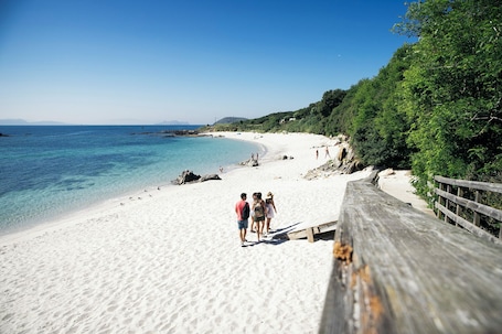Vista a la playa o al mar. Hotel Miramar