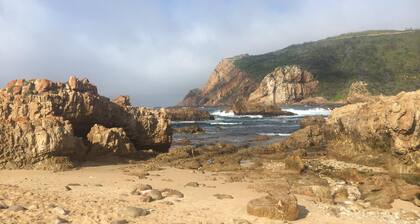 South Villa Guesthouse & Garden