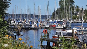 Un port de plaisance où de nombreux bateaux sont amarrés, entouré de verdure et sous un ciel dégagé.