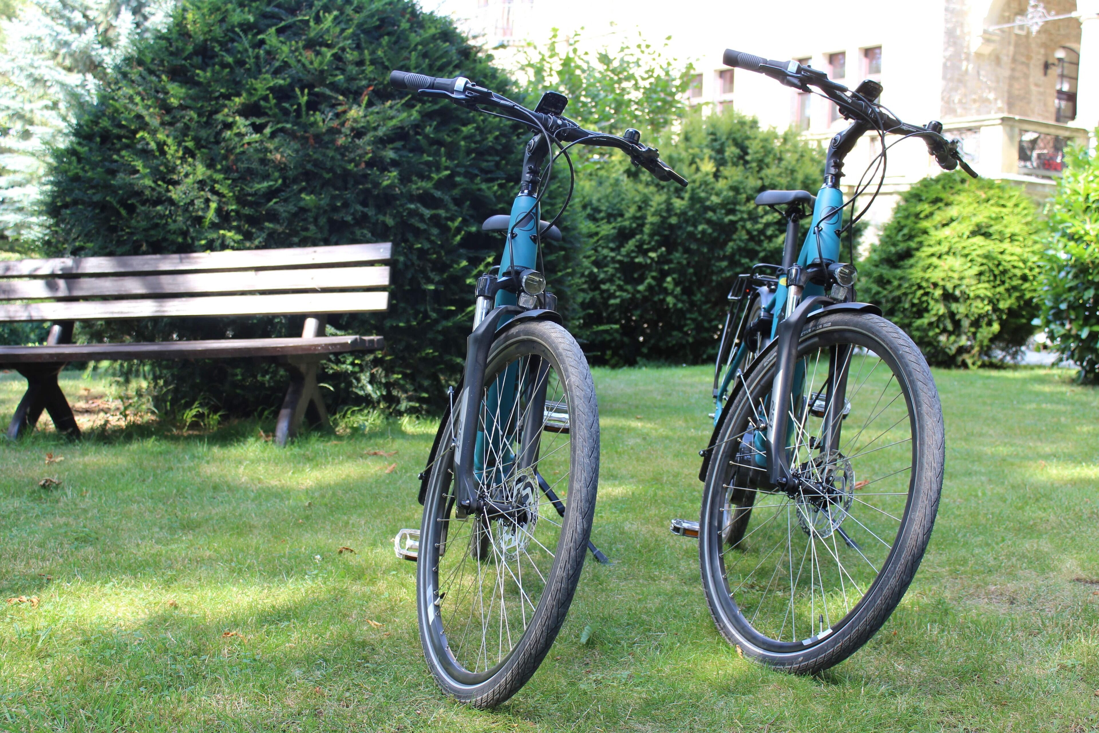 Two bicycles parked on grass with a bench and trees in the background.