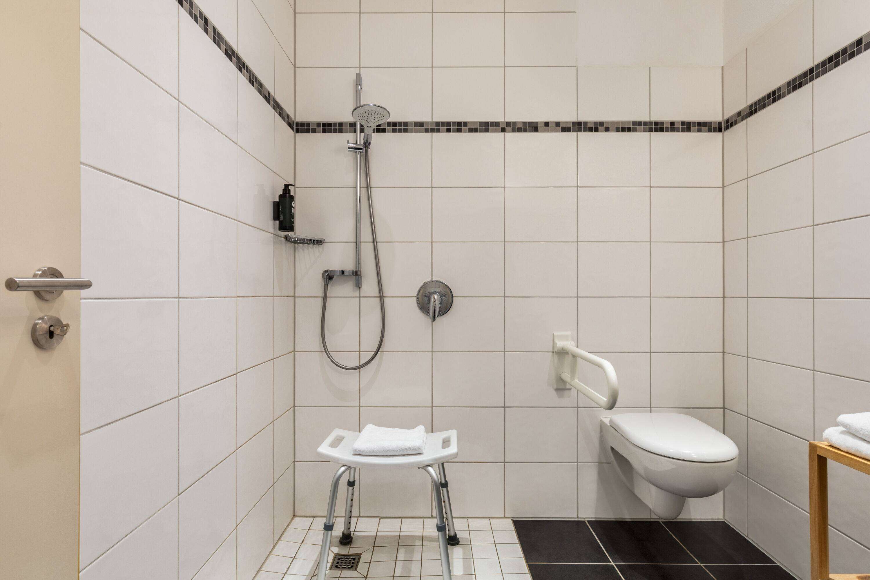 comfort room, accessible | accessible bathroom