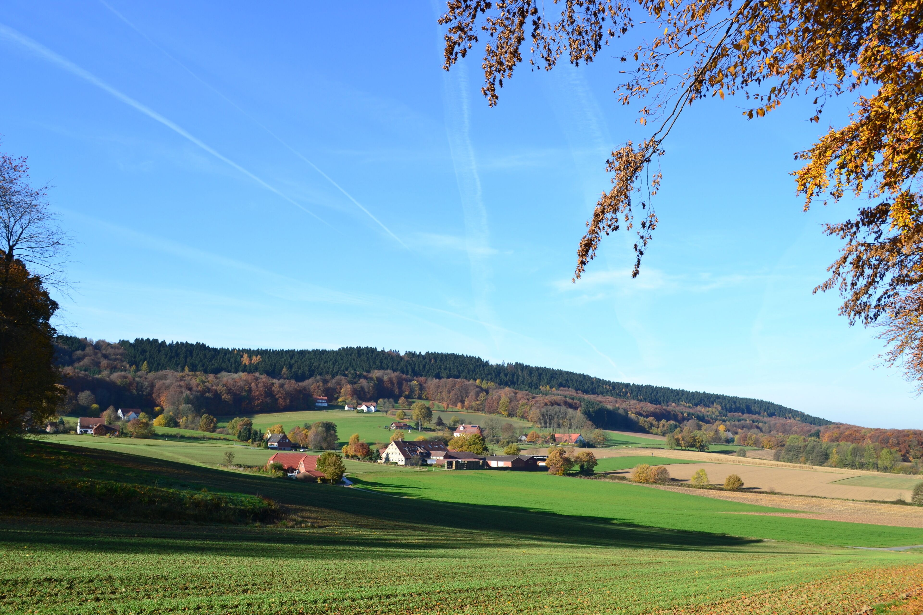 land view from property