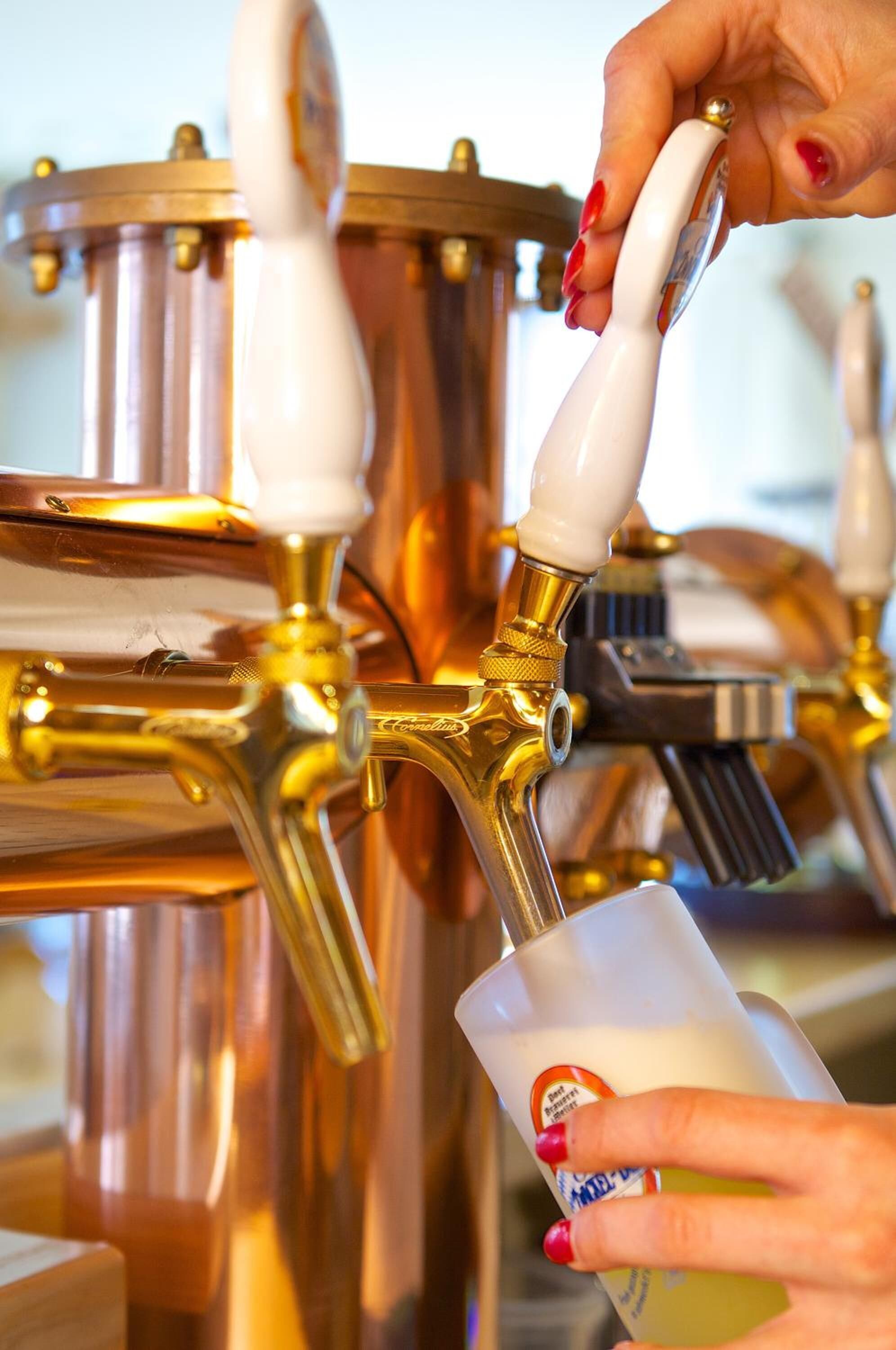 lunch and dinner served, local cuisine