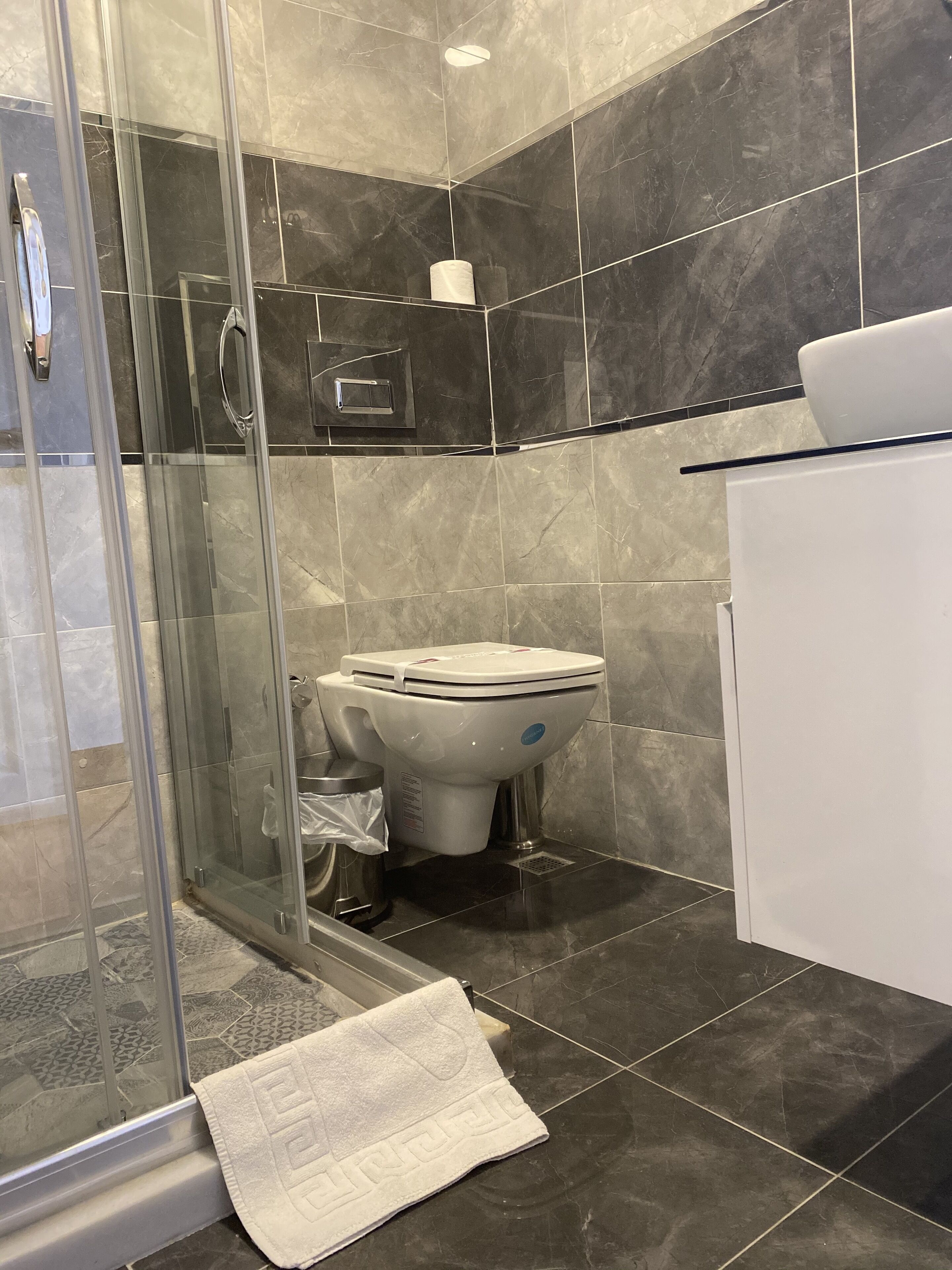 A modern bathroom with a glass shower enclosure, a toilet, and a sink.