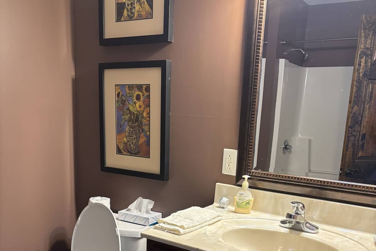 A bathroom with a toilet, sink, mirror, and two framed artworks on the wall.