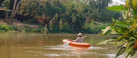 Una persona en una canoa en un río tranquilo rodeado de exuberante vegetación.