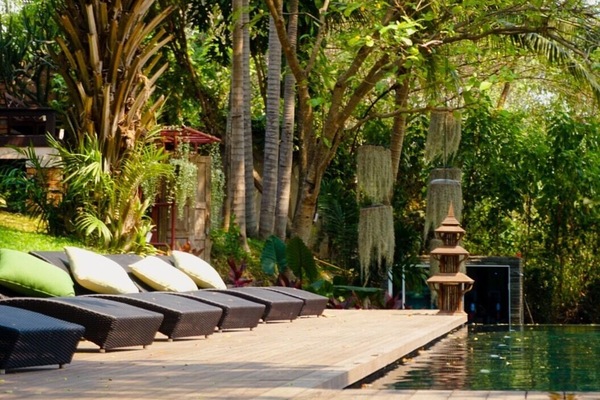 Outdoor pool, sun loungers