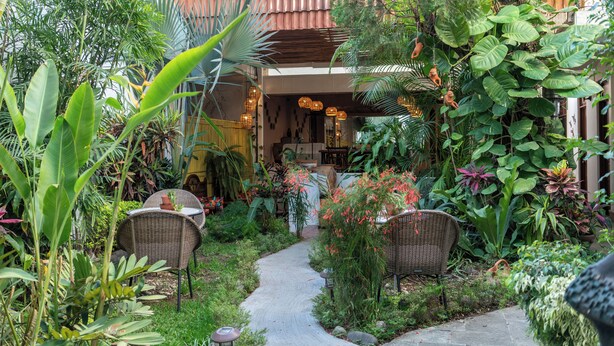 A garden with wicker furniture, a pathway, and various plants. - Casa Los Cantaros Hotel Boutique (Oaxaca)