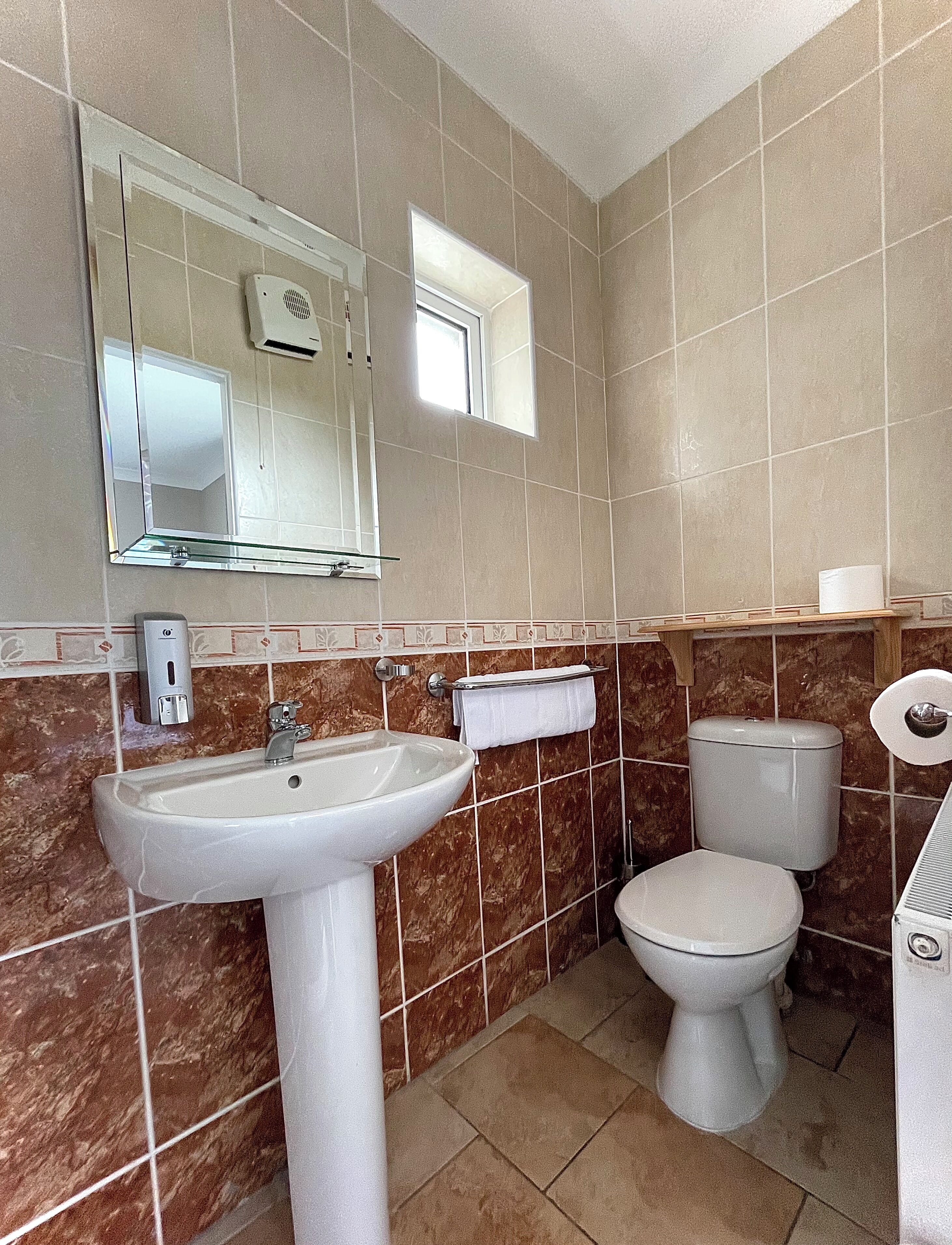 A bathroom with a sink, mirror, toilet, and a window.