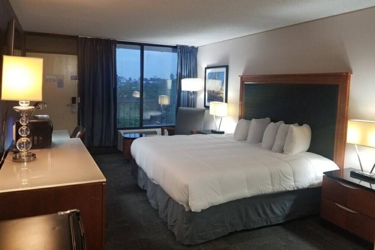 Premium Single Room